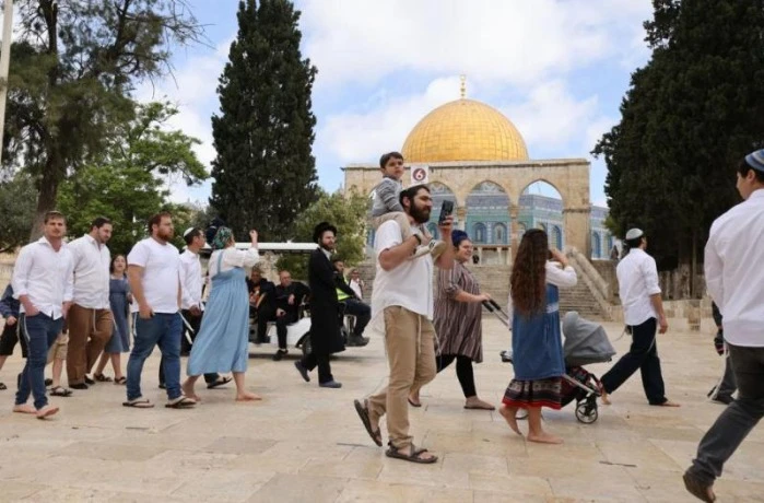 الأوقاف الفلسطينية: 24 اقتحاما للأقصى ومنع رفع الأذان في الإبراهيمي 142  وقتا شهر أكتوبر الماضي