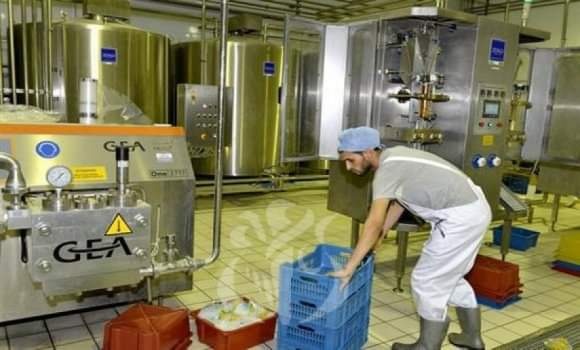 الديوان الوطني المهني للحليب ومشتقاته:تحيين دفتر الشروط الخاص بنشاط الملبنات لرفع انتاج الحليب