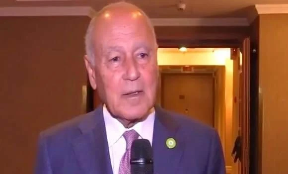 أبو الغيط يؤكد أن القمة العربية بالجزائر ستكون ناجحة وأن هناك توافقا على كافة عناصرها