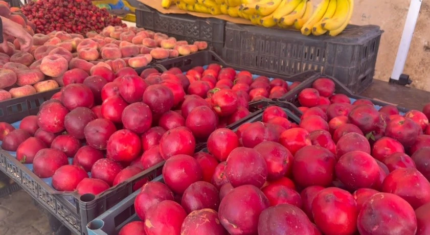 وفرة الفواكه الصيفية.. البطيخ بنوعيه والمشمش والخوخ والتين والكرز تزين الأسواق