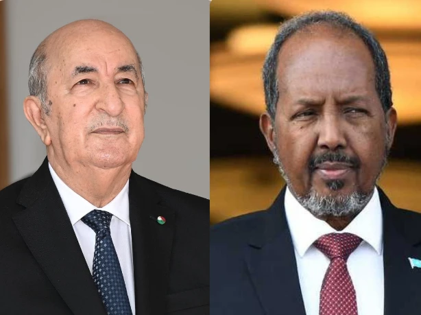 رئيس الجمهورية يخص نظيره الصومالي باستقبال رسمي