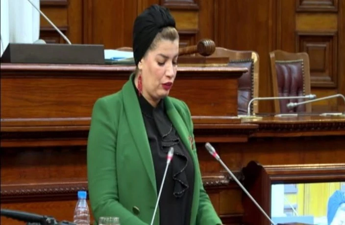 وزيرة التضامن تعرض نص قانون يتعلق بحماية الأشخاص ذوي الاحتياجات  الخاصة وترقيتهم