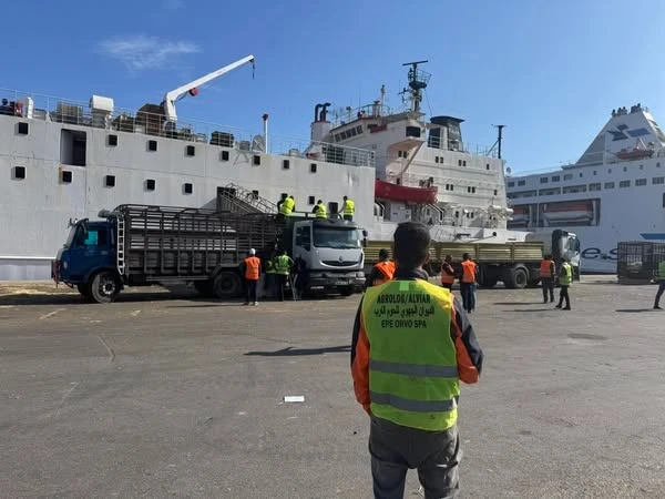 ميناء وهران يستقبل باخرة رابعة على متنها 20 ألف رأس ماشية
