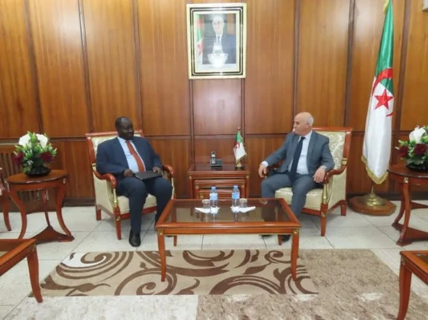 الأمين العام لوزارة الصحة يستقبل وفدا عن مفوضية الاتحاد الإفريقي