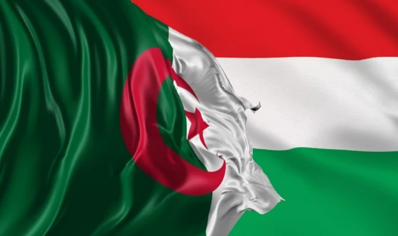 الجزائر والمجر تبحثان تعزيز الشراكة في الصناعة الصيدلانية والبحث السريري
