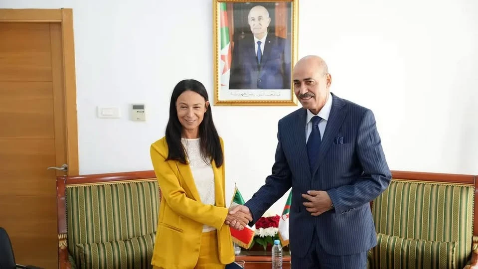 وزير الصناعة يبحث مع سفيرة ايطاليا تعزيز الشراكة بين البلدين
