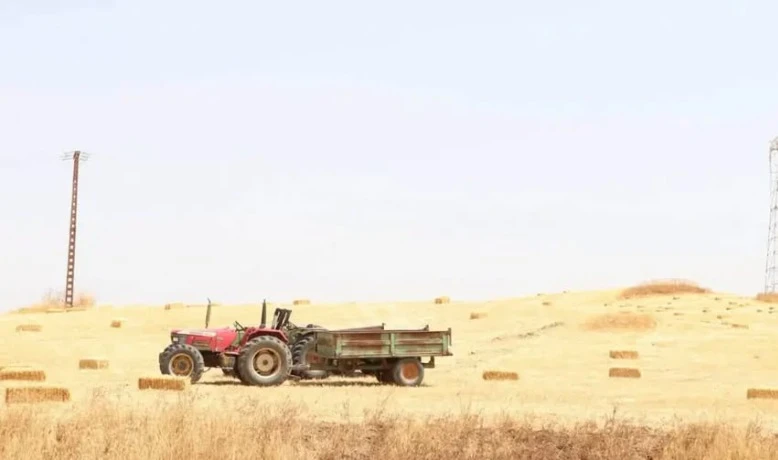 تدابير ميدانية ساهمت في ضمان السير الحسن لحملة الحصاد والدرس