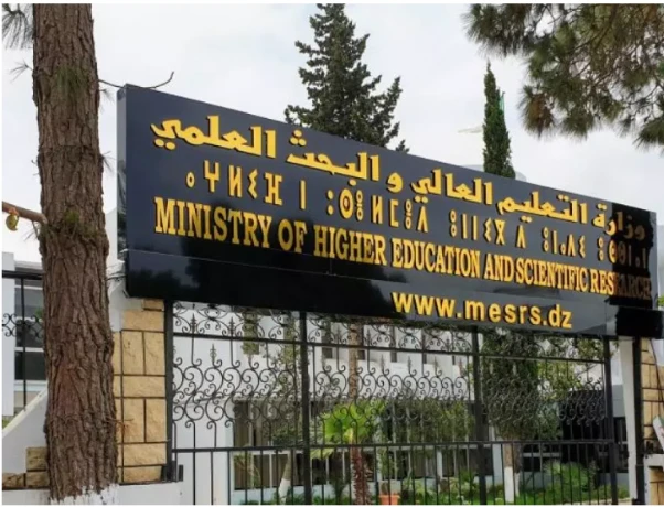 وزارة التعليم العالي تخطّط لنموذج تكويني وطني يشمل 5 مراحل