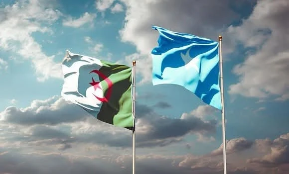 بداري يسلم رسالة خطية من رئيس الجمهورية إلى نظيره الصومالي