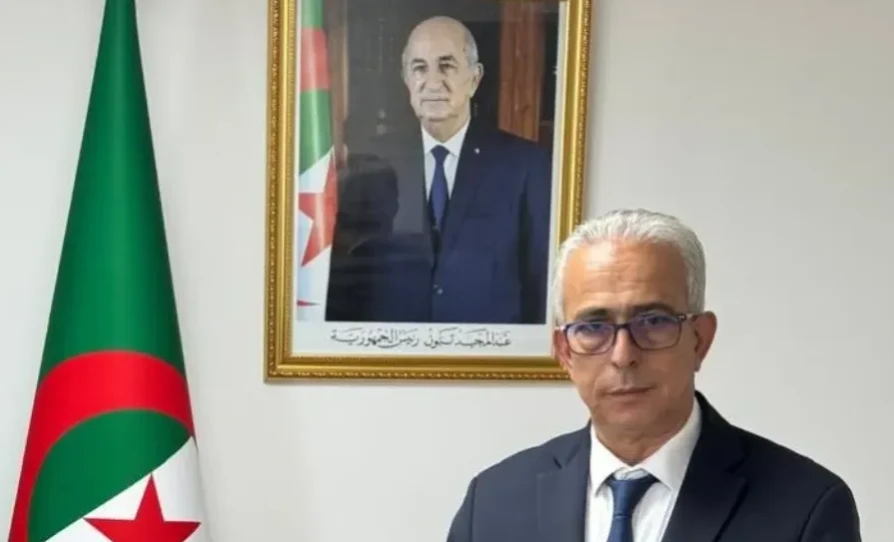 حنيفي يبرز بأوزبكستان الأهمية الإستراتيجية للقطاع في تنويع  الإقتصاد  الوطني