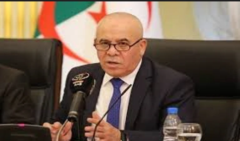عرقاب: الانتهاء من برنامج ربط 50 ألف مستثمرة بالكهرباء قبل نهاية 2023