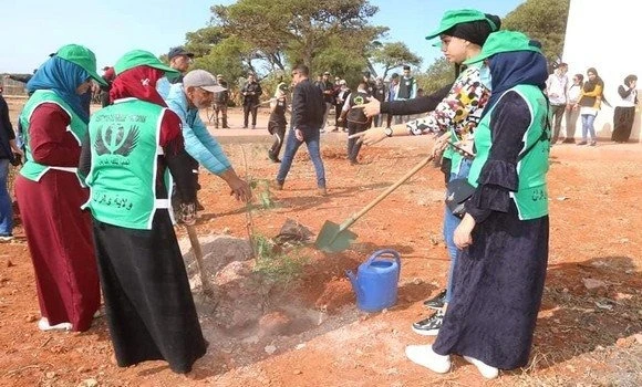 غليزان: برنامج لغرس 12 ألف شجيرة خلال الموسم الجاري