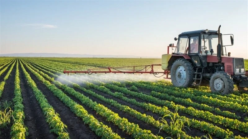 وهران : فتح شباك موحد لمرافقة الفلاحين للحصول على قروض " الرفيق "