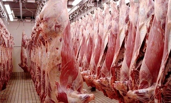 للقضاء على المضاربة......ضخ 35 طنا من اللحوم البيضاء المستوردة بالسوق