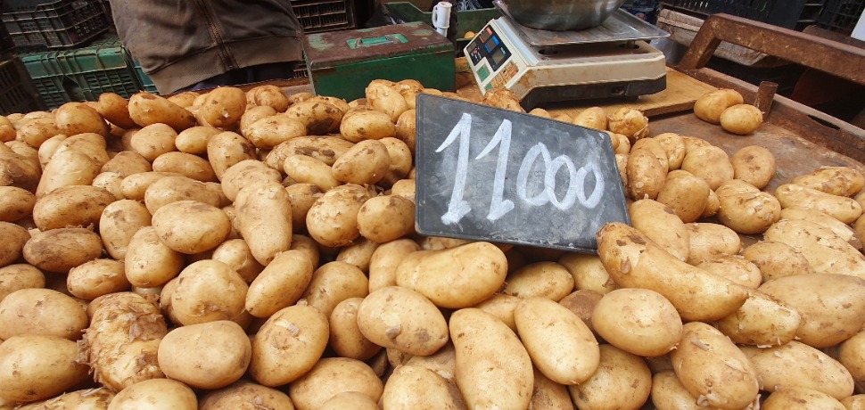 لهيب أسعار  الخضر يتواصل بلا  رادع