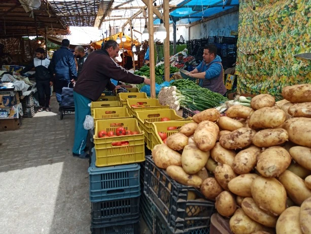 تراجع محسوس في أسعار الخضر والفواكه الموسمية... وفرة بسوق الجملة وارتياح بأسواق التجزئة