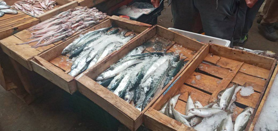 أسعار الخضر و اللحوم والأسماك تتحدى الصائمين والموز بـ750 دج بسوق "لاباستي"