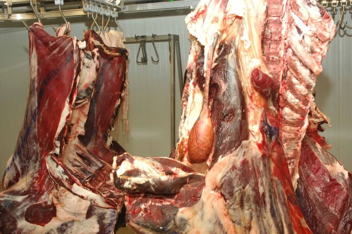حجز أكثر من قنطار من اللحوم الحمراء الفاسدة بمركبة بالبرج بمعسكر