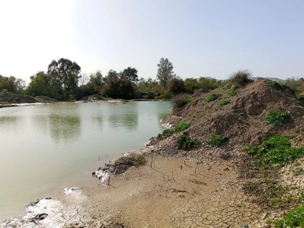 عين الدفلى : انتشال جثة شاب من بركة مائية بالعطاف