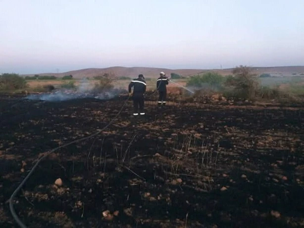 سعيدة : حريق يأتي على  هكتارين من الشعير