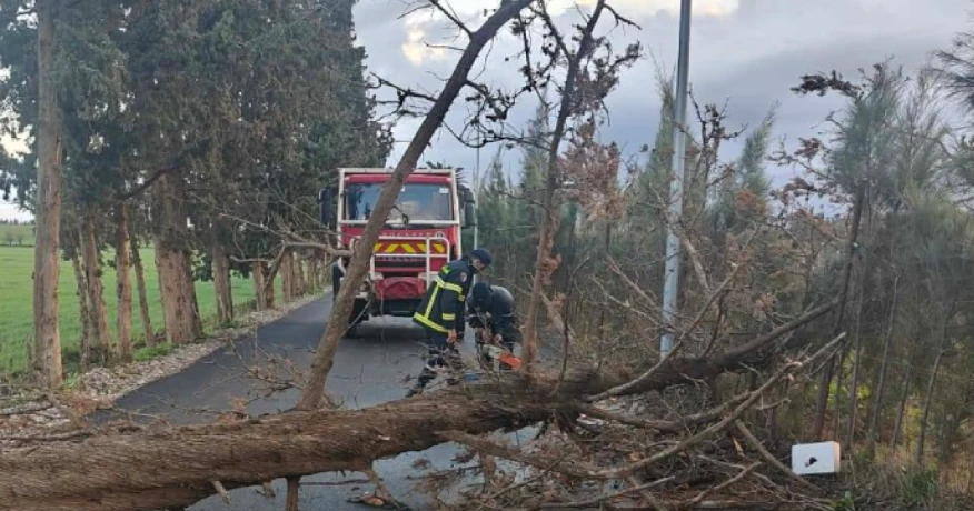 هبوب رياح قوية: تسجيل 62 تدخلا خلال الـ24 ساعة الاخيرة