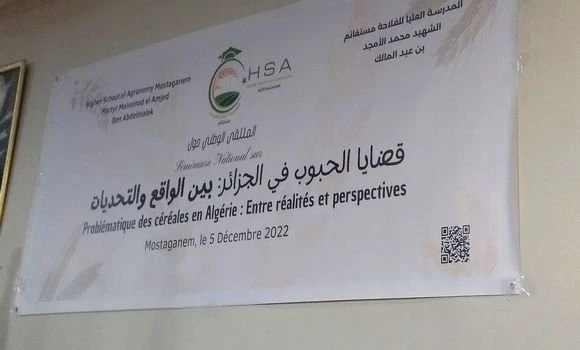 مستغانم: ضرورة اعتماد مقاربات علمية وتقنية جديدة لتحسين مردودية الحبوب