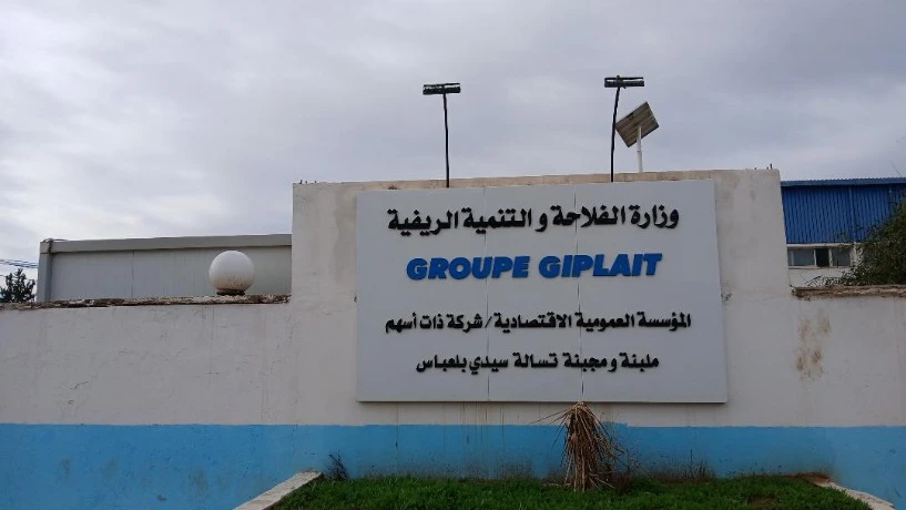 ملبنة "جيبلي " تسالة" بسيدي بلعباس... إنتاج 96 ألف لتر يوميا من الحليب المدعم