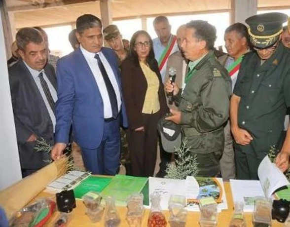 سعيدة...الوالي يُشرف على انطلاق حملة الحرث والبذر