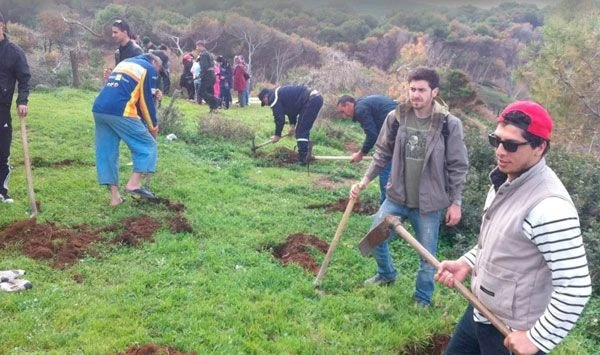 للانخراط في حملة التشجير الوطنية....تخصيص أكثر من 108  ألف  شتلة بتيسمسيلت