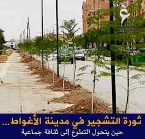 بفضل تنويع موارد الري وتكثيف التشجير بالأغواط  : تحسن نوعي في التزود بالمياه ومكافحة التصحر