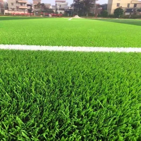 عنابة: فتح تخصص صيانة العشب الطبيعي بالملاعب خلال دورة فبراير التكوينية