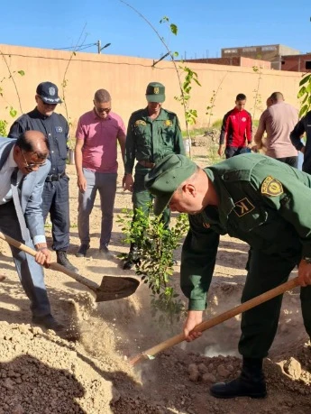 الأغواط  دعم الغطاء الغابي بـ 10 آلاف شجرة