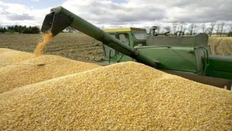 لتمكينهم من مادة الشعير  .... مديرية الفلاحة تُحصي مربي الماشية بالولاية