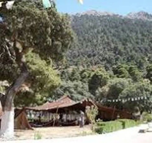 في إطار حملة " المليون شجرة " ...برمجة غرس 20 ألف شجيرة عبر مختلف بلديات تيسمسيلت