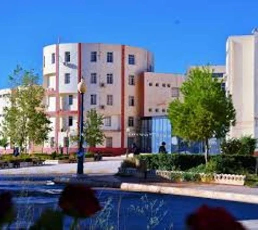 ترقية المراكز الجامعية بميلة تيبازة النعامة وتندوف إلى مصاف جامعات