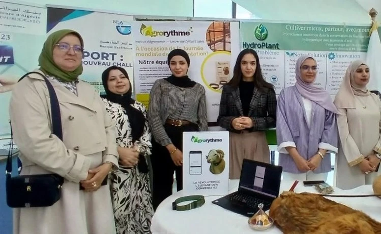 جامعة  "الجيلالي ليابس" بسيدي بلعباس ...فريق من باحثين ومهندسين يبتكر طوقا إلكترونيا للأغنام