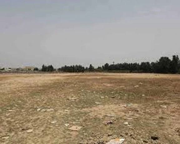 في لقاء إطارات من وزارة الفلاحة بفلاّحي مستغانم  ..تأكيد على التزام الدولة بمرافقة منتجي البطاطس ودعمهم