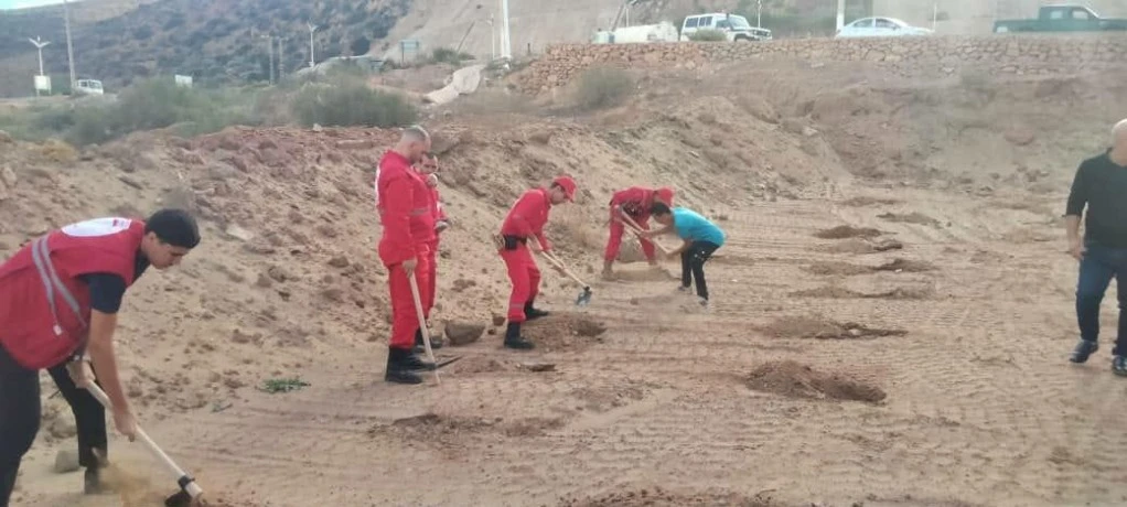 عبر 18 موقعا غابيا .. الشروع في غرس 15 ألف شجرة بمستغانم