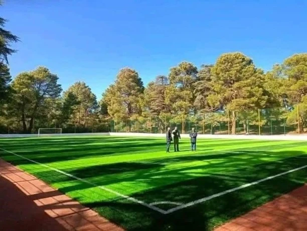 في إطار البرنامج التكميلي للتنمية بتيسمسيلت ...استلام 40 ملعبا جواريا و5 مسابح قيد الإنجاز