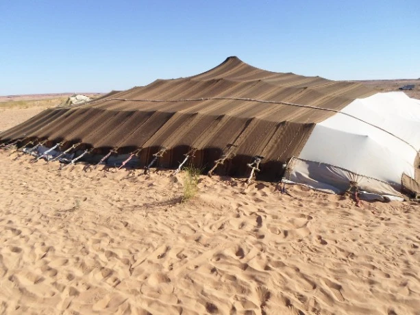 الخيمة ...ايقونة التراث المادي وغير المادي بالبيض