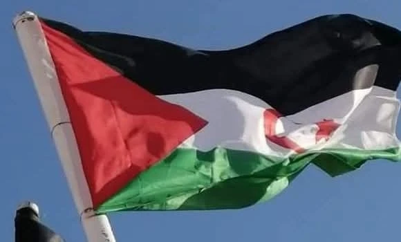 جمعية صحراوية تدعو الهيئات الدولية إلى مزيد من التحرك لحماية الحقوقيين الصحراويين