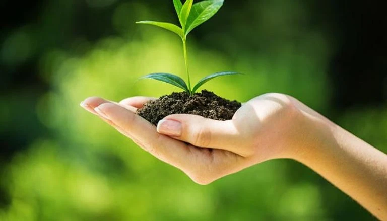 سوناطراك تراهن على التشجير من أجل المحافظة على البيئة