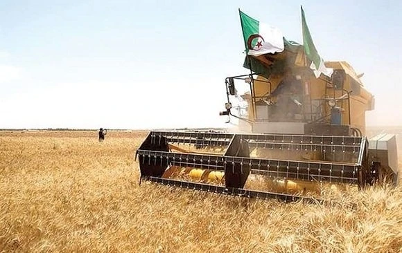 وهران : الأمن الغذائي واقتصاد المعرفة موضوع ملتقى وطني يوم الأحد القادم