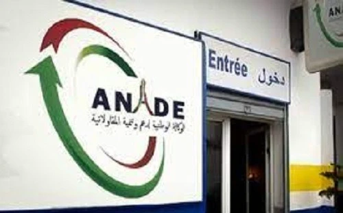 وهران: تمويل 60 مشروعا لنساء مقاولات في السداسي الأول من السنة الحالية