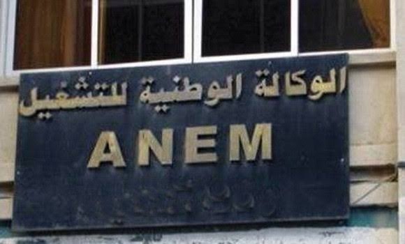3700بطال يستفيد من منحة البطالة منذ دخول المنصة الرقمية الخدمة