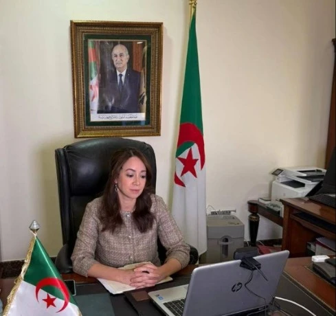 منصوري تشارك في الاجتماع الوزاري لمجلس السلم والأمن للاتحاد الإفريقي  حول الأوضاع في منطقة الساحل