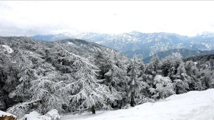 ثلوج مرتقبة يومي الجمعة والسبت على عدة ولايات من وسط و شرق البلاد