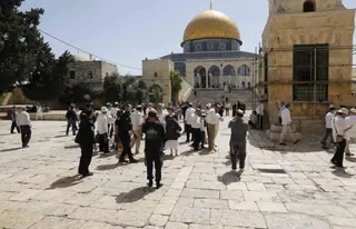 فلسطين: مستوطنون صهاينة يقتحمون المسجد الأقصى المبارك