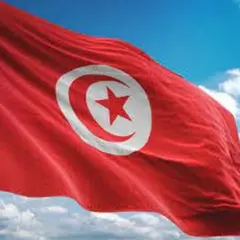 تونس: إجراء الدور الثاني من الانتخابات المحلية في 4 فبراير المقبل