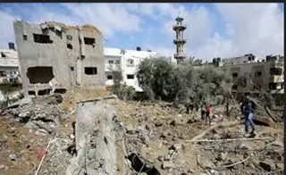 فلسطين : ابادة صهيونية واسعة النطاق للبيئة الطبيعية في غزة